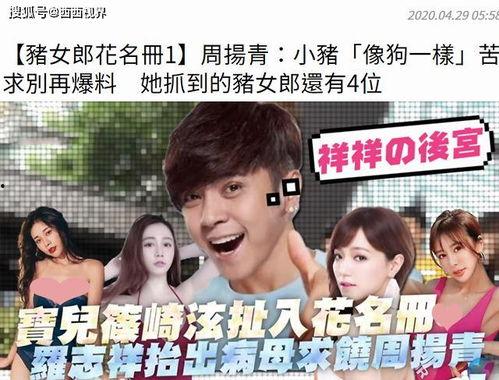 团宠吃瓜娱乐圈小说