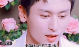 明星爆料唐三镜视频播放,明星爆料背后的视频播放之谜