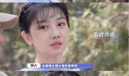 小狐狸群爆料视频播放,揭秘神秘森林生活瞬间