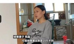 许敏姐妹爆料视频大全最新,揭秘事件真相与背后故事