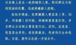 当事人爆料新闻案例,新闻背后的真相与争议