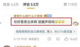 陈飞爆料视频大全集播放,揭秘背后真相与精彩瞬间