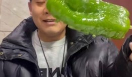 和县网红吃瓜事件视频最新,一场网络狂欢背后的真相揭秘