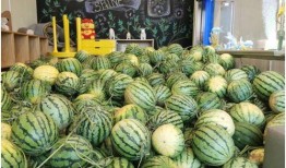 如何免费领吃瓜,揭秘如何轻松领取免费美食瓜分活动