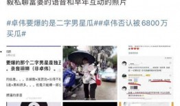 卓伟最新爆料是成毅吗,成毅成疑？揭秘娱乐圈新动态