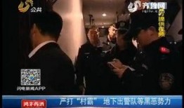 外国大佬爆料视频,外国大佬爆料视频背后的惊人真相