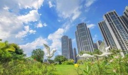 惠州最新爆料,揭秘城市变革背后的故事