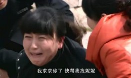 家有一老全集在线观看,温情岁月，传承家族温情