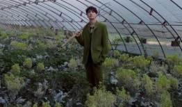 惬意吃瓜视频在线观看免费,免费观看吃瓜视频盛宴