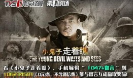 小鬼子走着瞧在线观看,抗战传奇，烽火岁月里的民族抗争