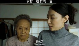 家有一老全集在线观看,温情岁月，传承家族温情