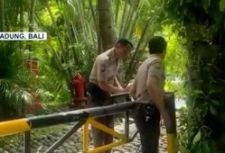 巴厘岛情侣身亡爆料视频,揭秘背后真相与疑云
