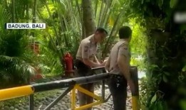 巴厘岛情侣身亡爆料视频,揭秘背后真相与疑云