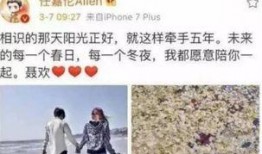 爆料任嘉伦出轨小号视频,真相与争议交织