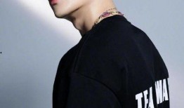 吃瓜娱乐圈王嘉尔是谁呀