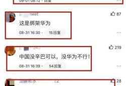 辛巴回应爆料视频下载,真相大白，还原事件始末