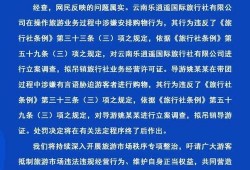 荆楚网网友爆料新闻视频,视频揭露惊人真相，引发社会关注