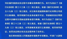 荆楚网网友爆料新闻视频,视频揭露惊人真相，引发社会关注