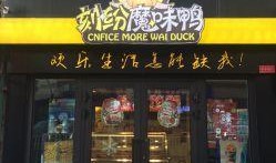 魔味鸭最新爆料图片,独家爆料，视觉盛宴即将开启！