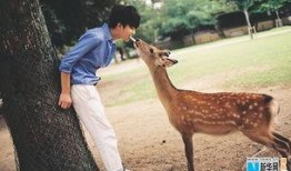 小鹿弟弟爆料了吗视频,视频内容深度解析