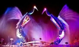 爆料仙鹤特效视频大全,惊艳视觉盛宴，带你领略仙鹤之美