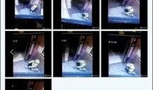 美团员工爆料视频,揭露行业黑幕与内部真相