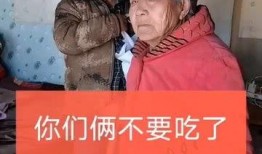 家有一老全集在线观看,温情岁月，传承家族温情