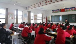 沧州中学爆料案件最新情况,案情细节及调查进展全解析