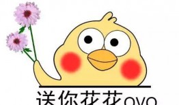 微博视频 黑哥爆料,揭秘娱乐圈惊人内幕