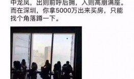 冯先生深圳最新爆料,揭秘深圳最新动态与热点事件