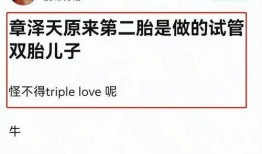 娱乐界大爆料文案怎么写,大爆料背后的惊人真相